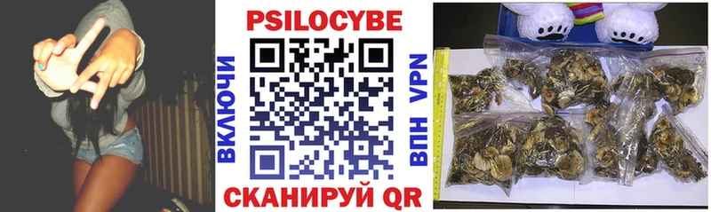 где можно купить   Невинномысск  mega сайт  Галлюциногенные грибы Psilocybe 