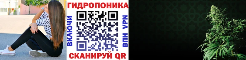 Бошки марихуана гибрид  hydra как зайти  нарко площадка клад  где продают наркотики  Невинномысск 